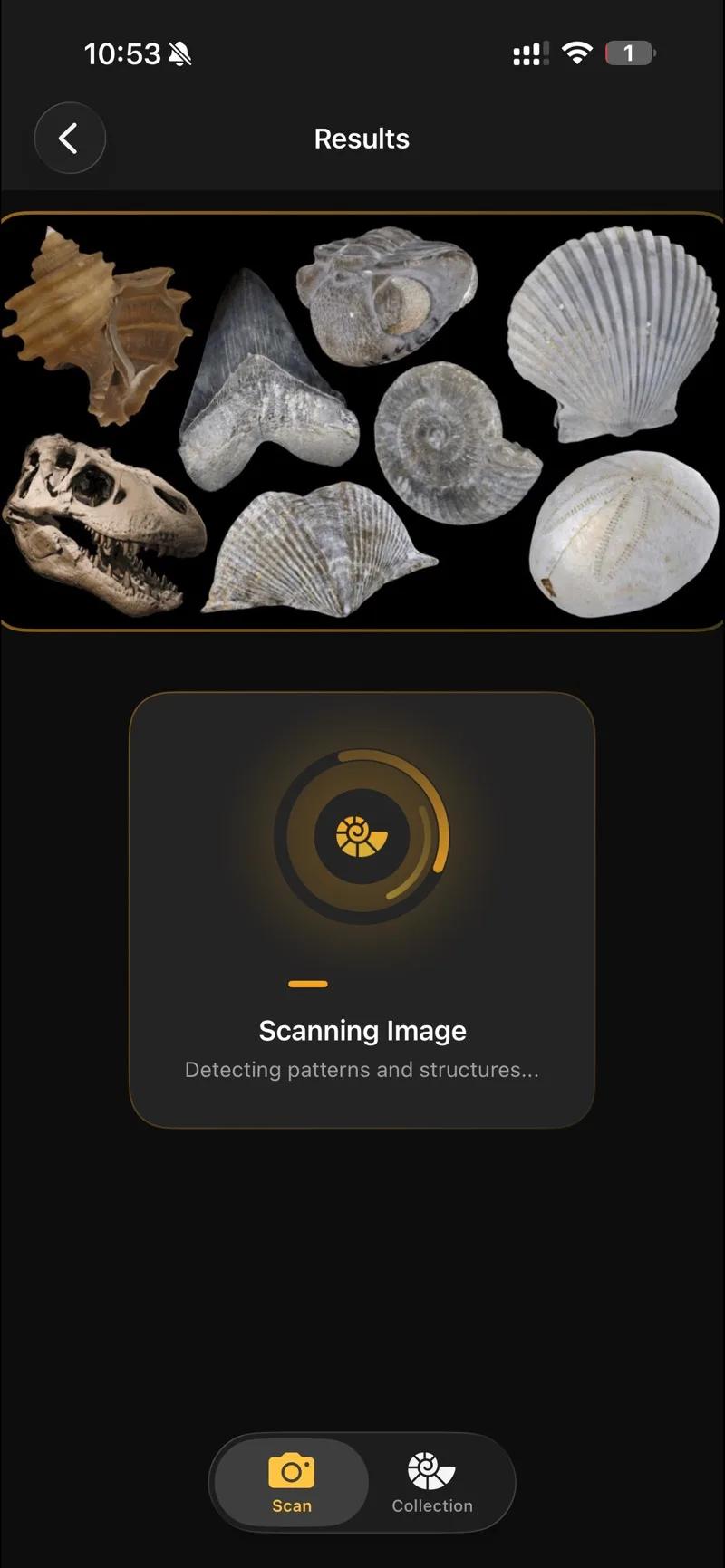 Fossilise scanning a photo