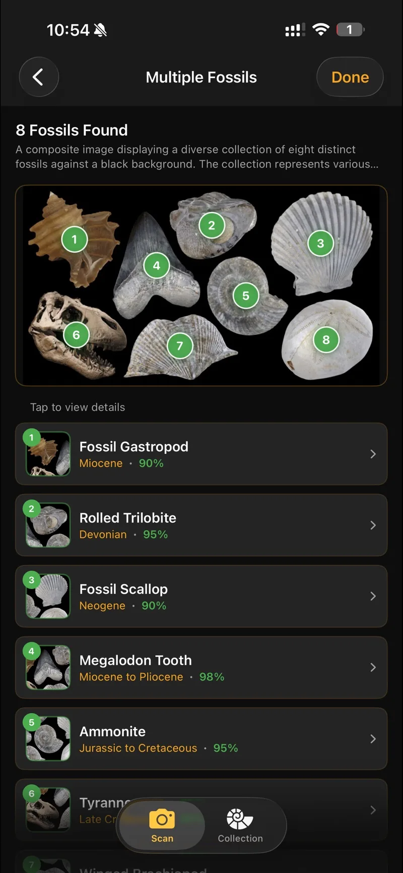 Eight fossils identified in one photo