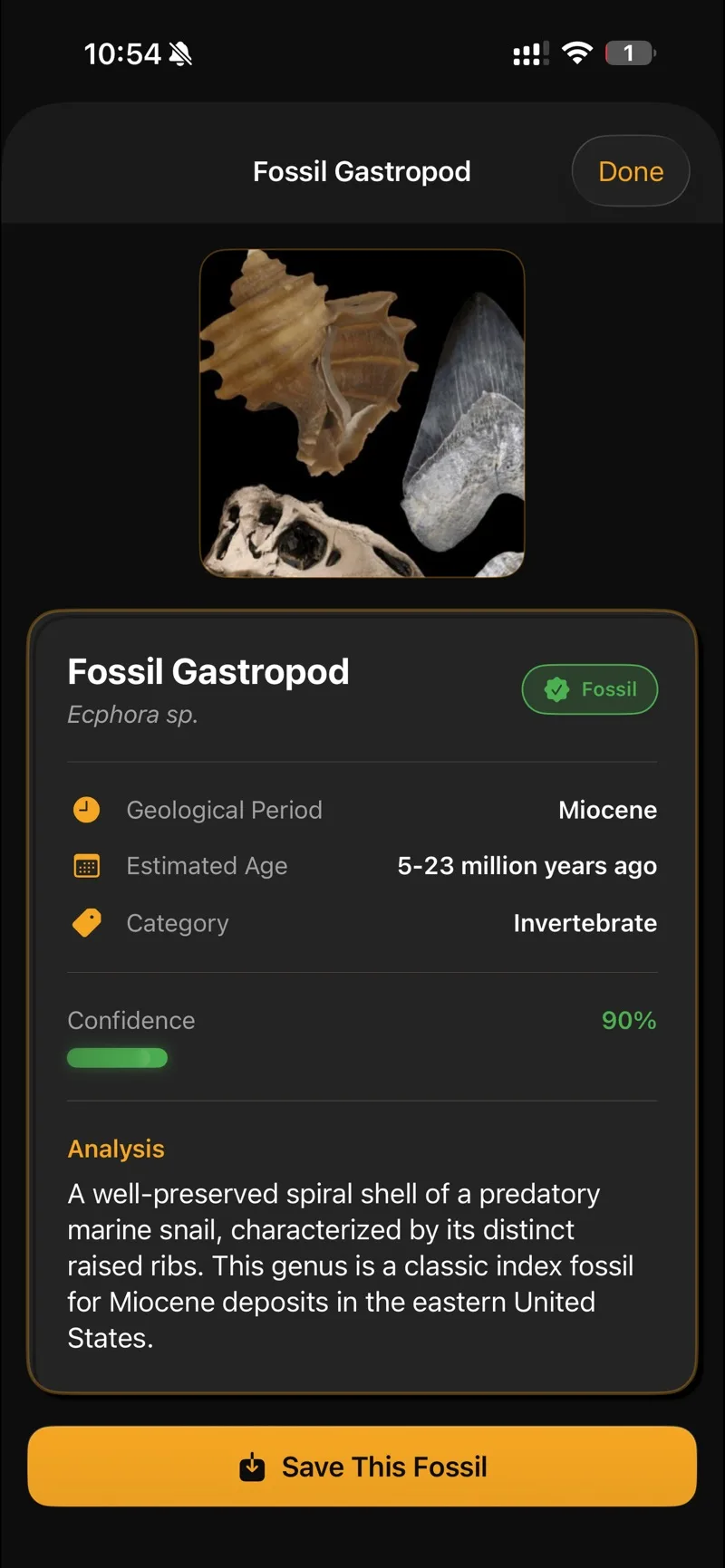 Fossil gastropod result with period, age and confidence
