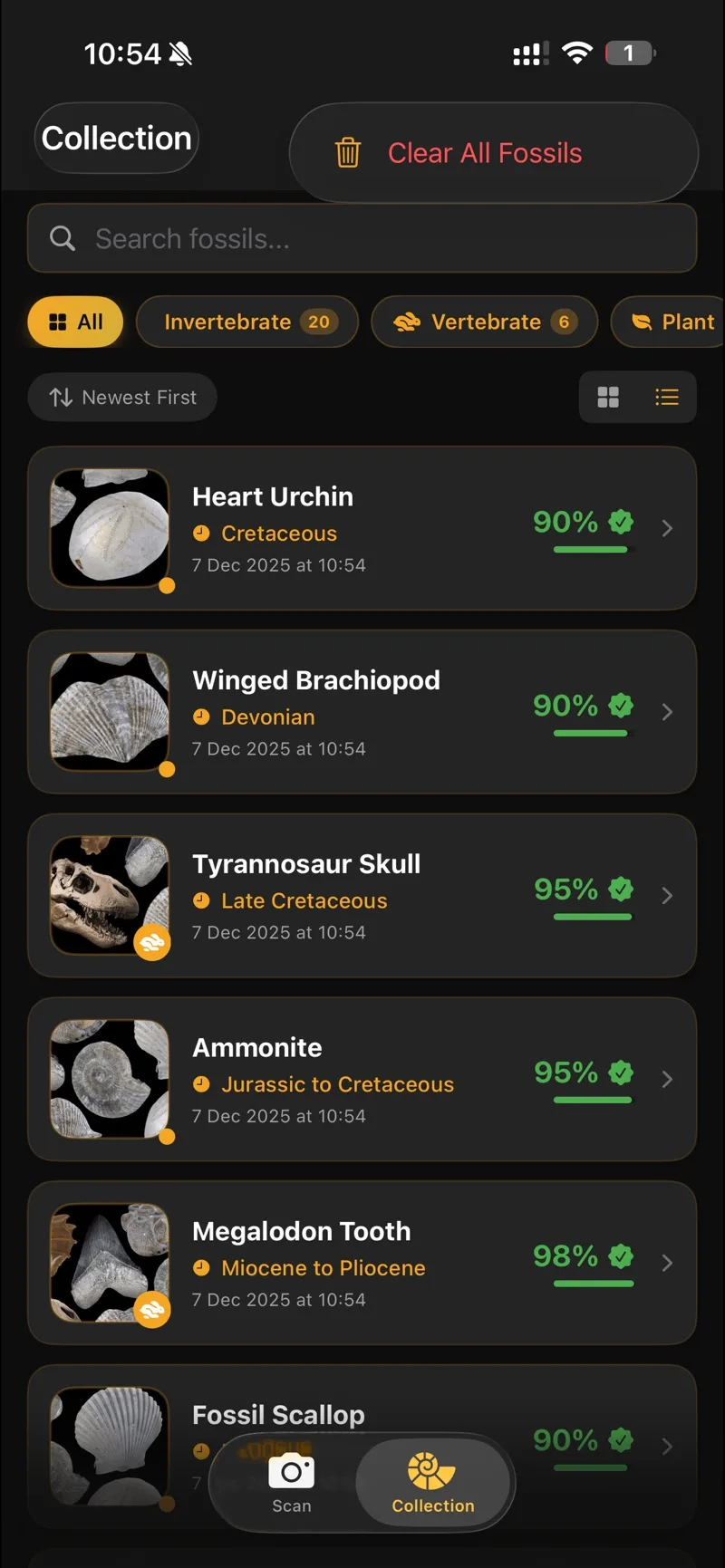 Collection filtered by category
